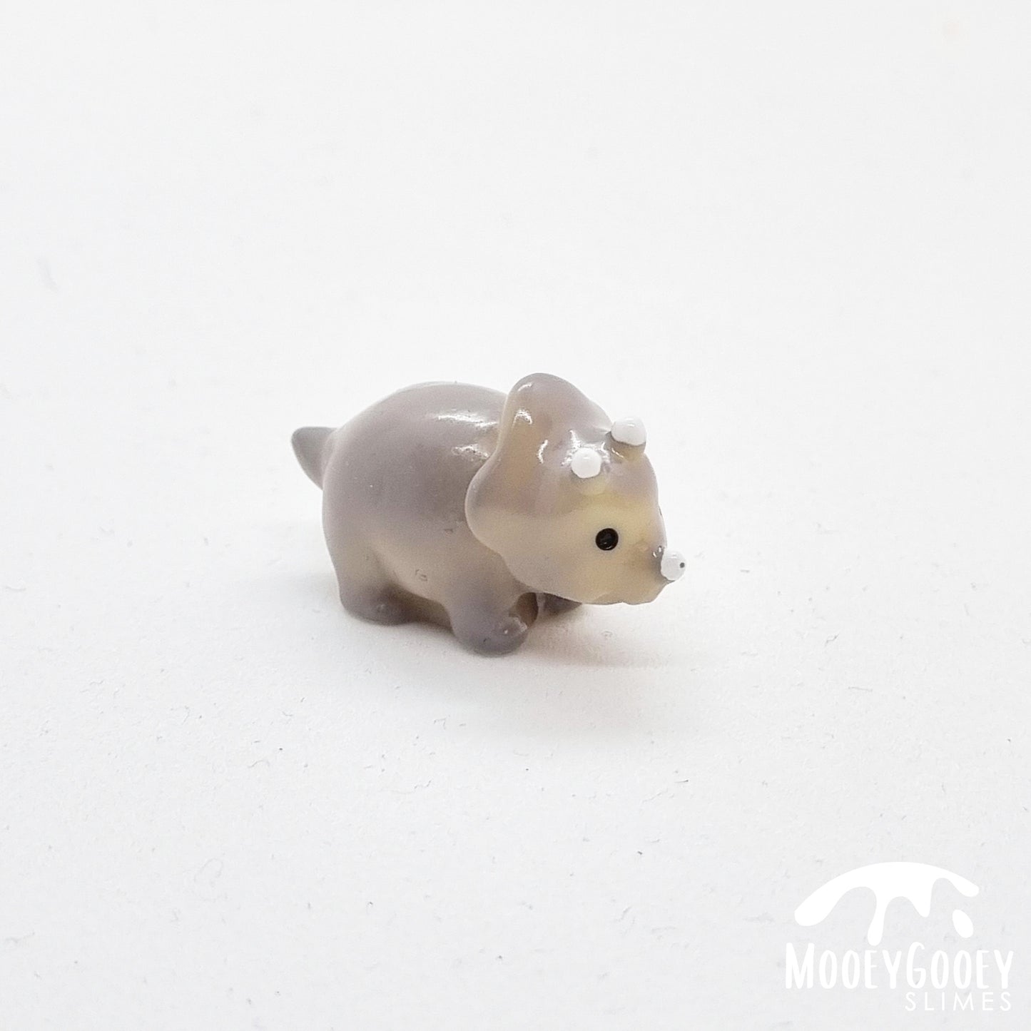 Triceratops - Charm