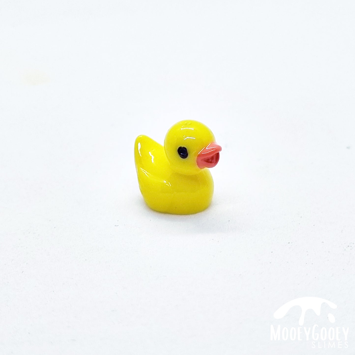 Duck - Charm