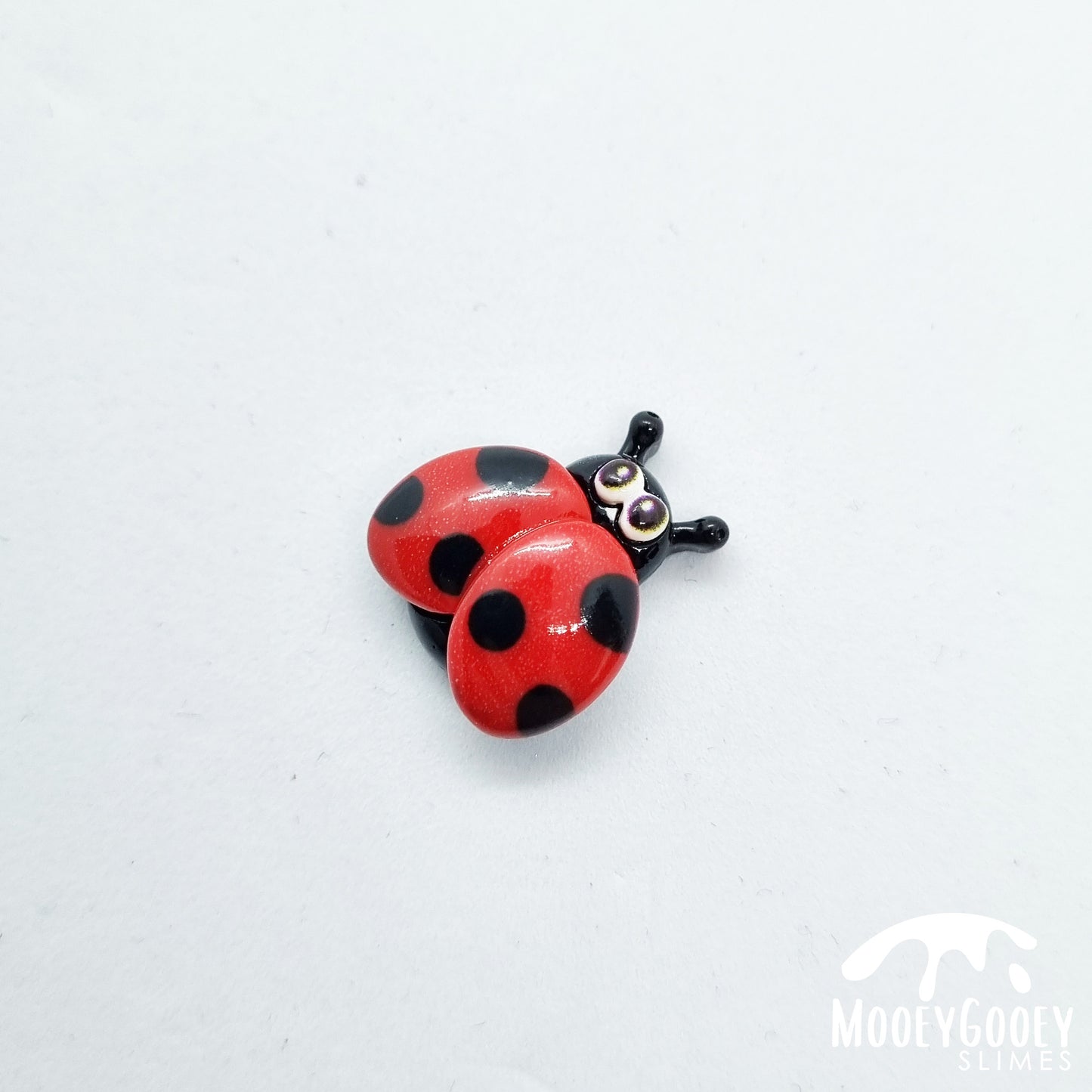 Ladybug - Charm