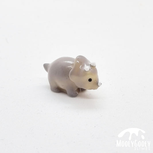 Triceratops - Charm