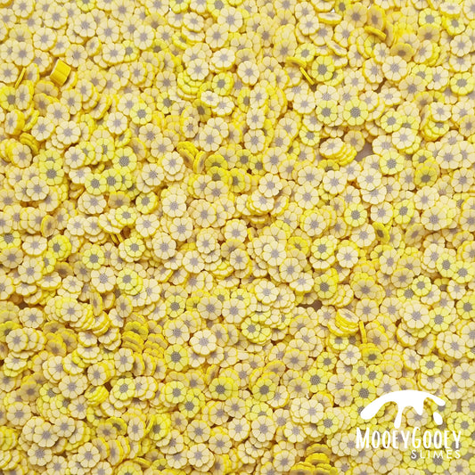 Sunflower Sprinkles